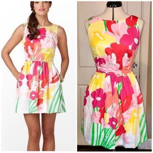 Lilly Pulitzer Aleesa Dress size 8